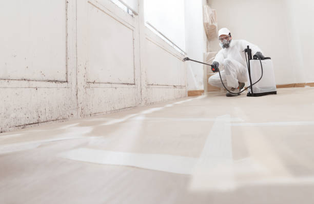 24/7 Emergency Crawl Space Mold Removal experts in Willowbrook, IL